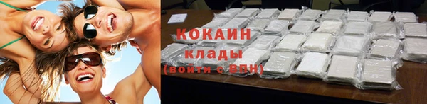 ГАЛЛЮЦИНОГЕННЫЕ ГРИБЫ Новозыбков