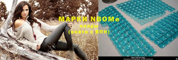 ГАЛЛЮЦИНОГЕННЫЕ ГРИБЫ Новозыбков