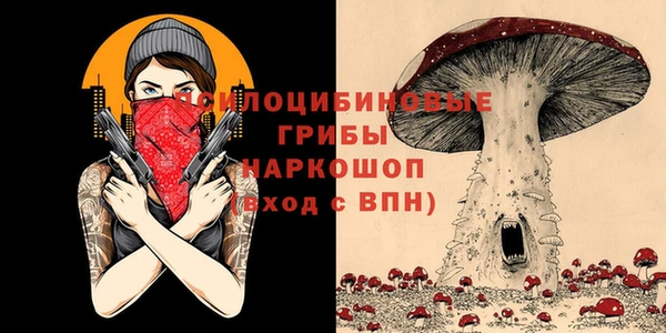марки nbome Новодвинск
