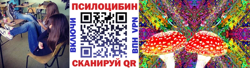 хочу Шарья гидра вход Галлюциногенные грибы мицелий